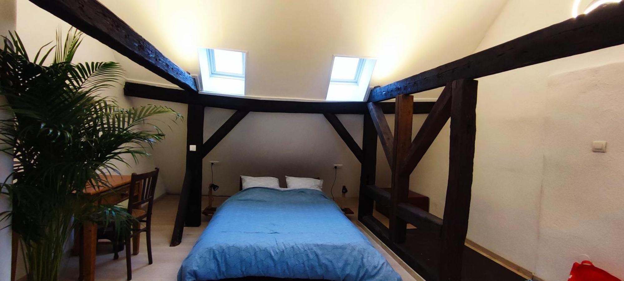 Appartement Haven à Strasbourg Extérieur photo